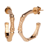 Сережки Bamboo EVB001-1