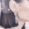 Сережки Jewellery Garden EDS291-1